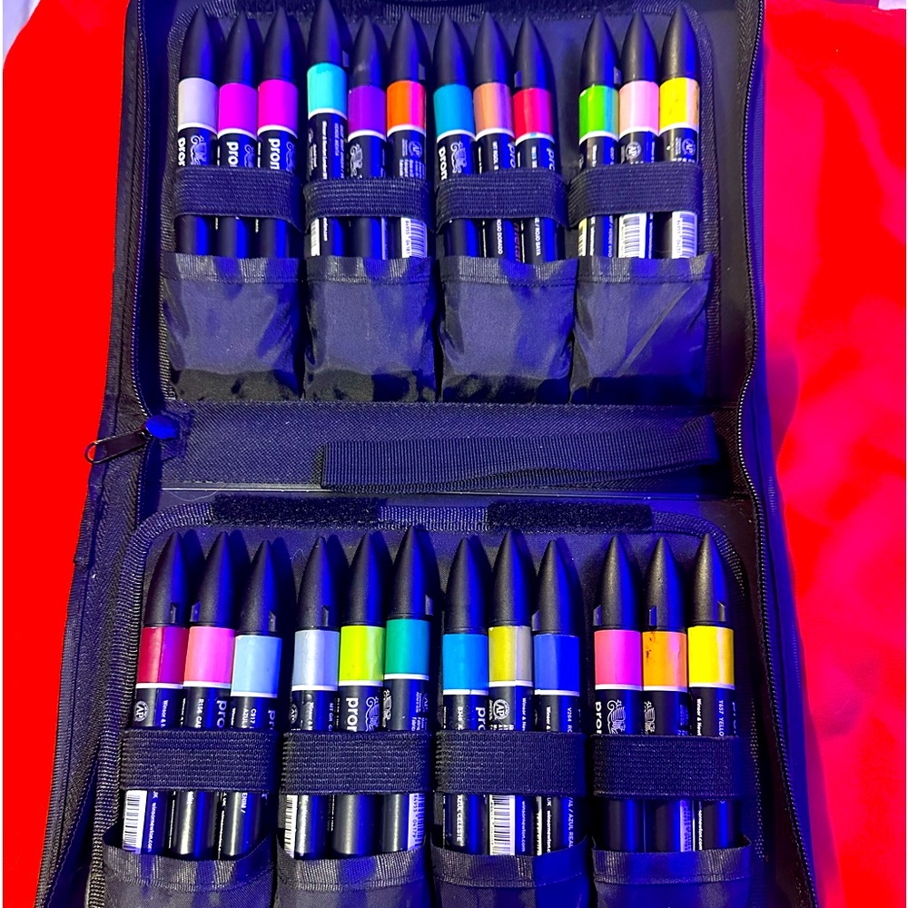 Winsor & Newton ProMarker Set of 24. Complete with zipper case.